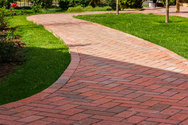 Best Driveway Repair Near Me  in Forest Park, IL